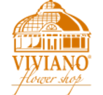 Viviano Promo Codes 